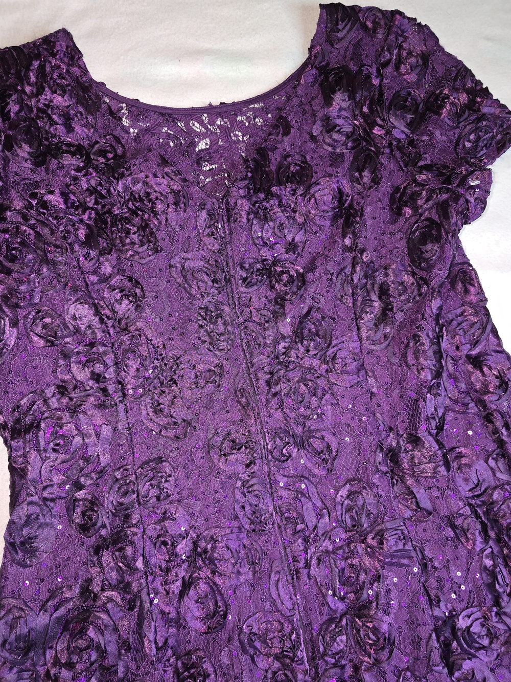 Alex Evenings Plum Embellished Maxi Dress - Picture 7 of 9
